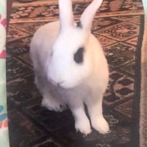 Meet your Posher, Graciela